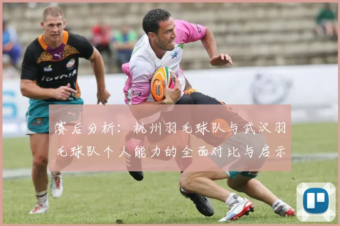 赛后分析：杭州羽毛球队与武汉羽毛球队个人能力的全面对比与启示