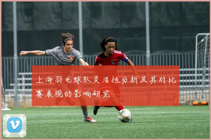 上海羽毛球队灵活性分析及其对比赛表现的影响研究