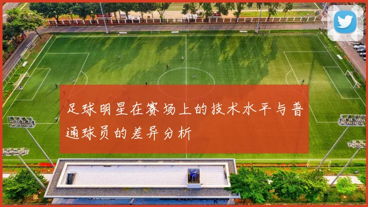 足球明星在赛场上的技术水平与普通球员的差异分析