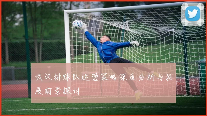 武汉排球队运营策略深度分析与发展前景探讨
