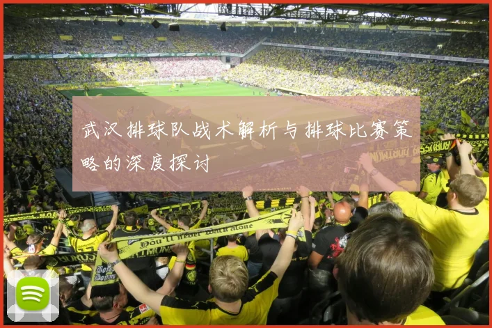 武汉排球队战术解析与排球比赛策略的深度探讨