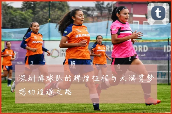 深圳排球队的辉煌征程与大满贯梦想的追逐之路