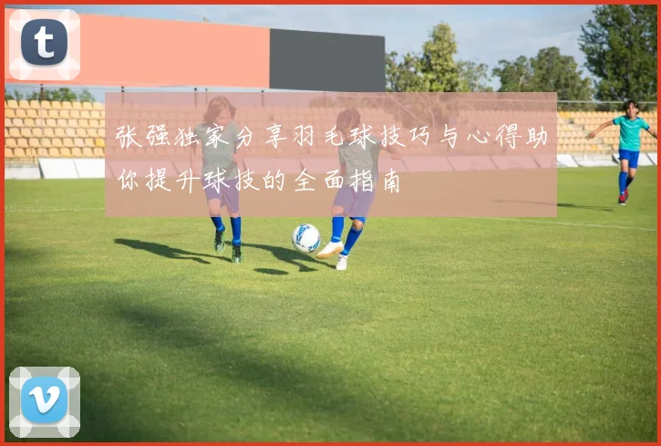 张强独家分享羽毛球技巧与心得助你提升球技的全面指南