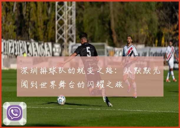 深圳排球队的蜕变之路：从默默无闻到世界舞台的闪耀之旅