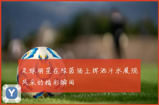 足球明星在绿茵场上挥洒汗水展现风采的精彩瞬间