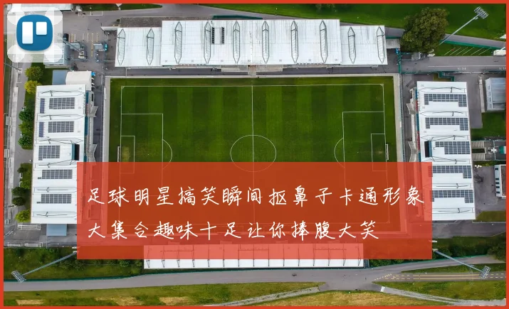 足球明星搞笑瞬间抠鼻子卡通形象大集合趣味十足让你捧腹大笑