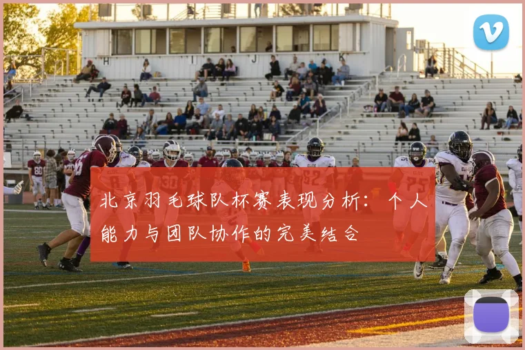 北京羽毛球队杯赛表现分析：个人能力与团队协作的完美结合