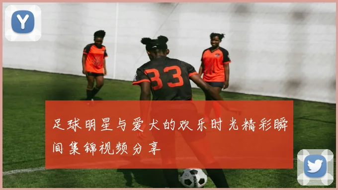 足球明星与爱犬的欢乐时光精彩瞬间集锦视频分享