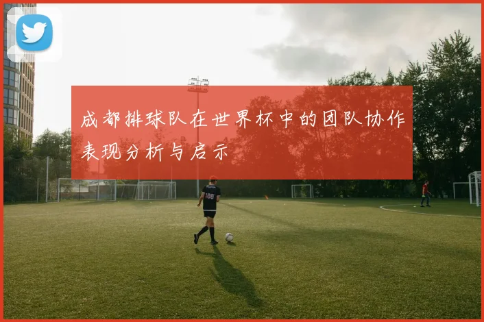 成都排球队在世界杯中的团队协作表现分析与启示