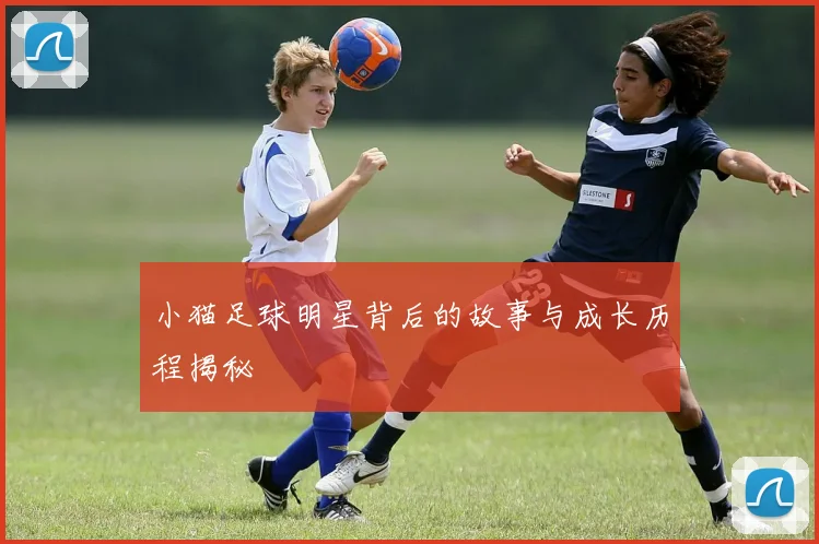 小猫足球明星背后的故事与成长历程揭秘