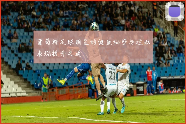 葡萄籽足球明星的健康秘密与运动表现提升之道