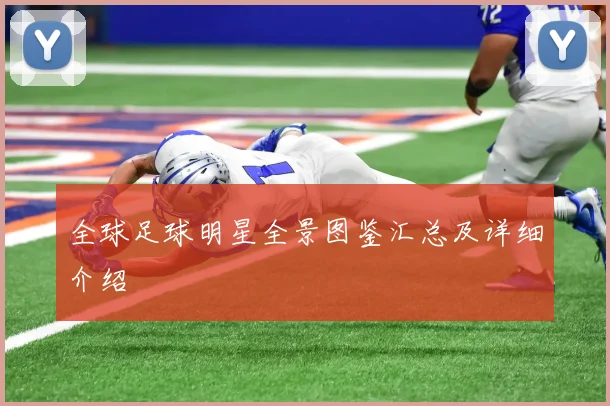 全球足球明星全景图鉴汇总及详细介绍